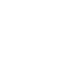 icona facebook