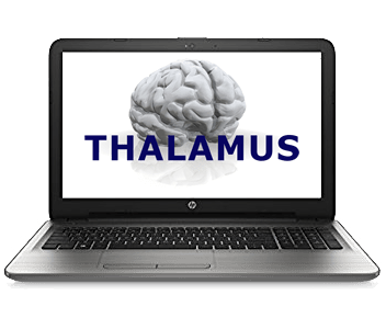 thalamus alfa